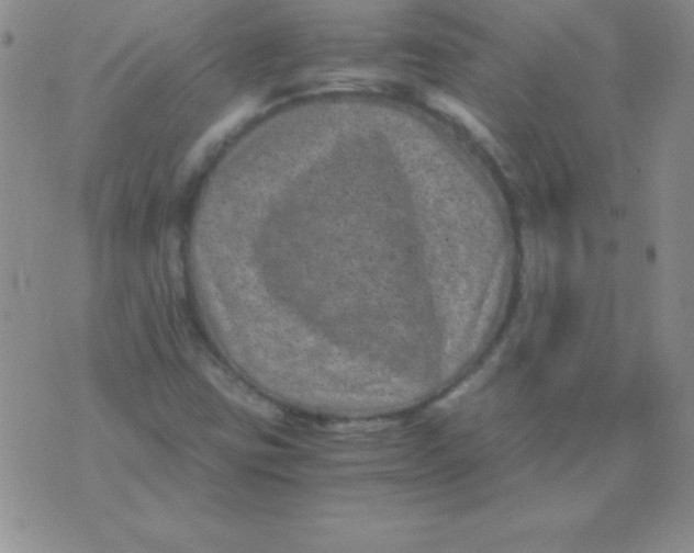 X0000075921403200610062156