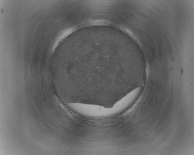 X0000075921405200610062156