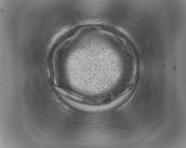 X0000075921406200610062156