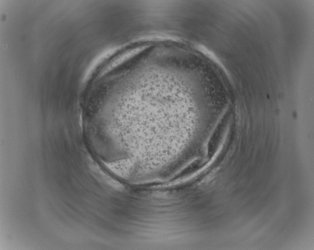 X0000075921408200610062156