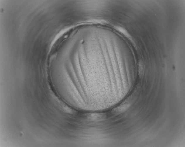 X0000075921412200610062156