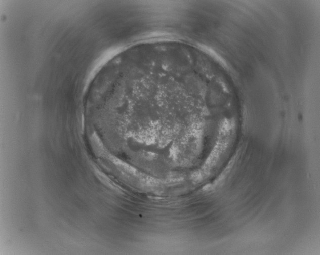 X0000075921413200610062156