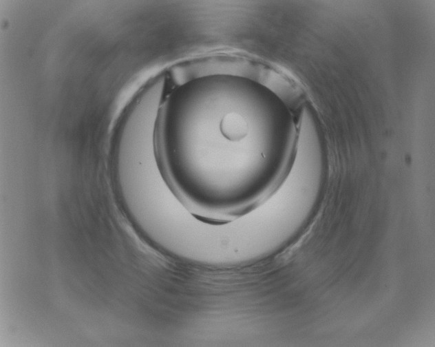 X0000075921414200610062156