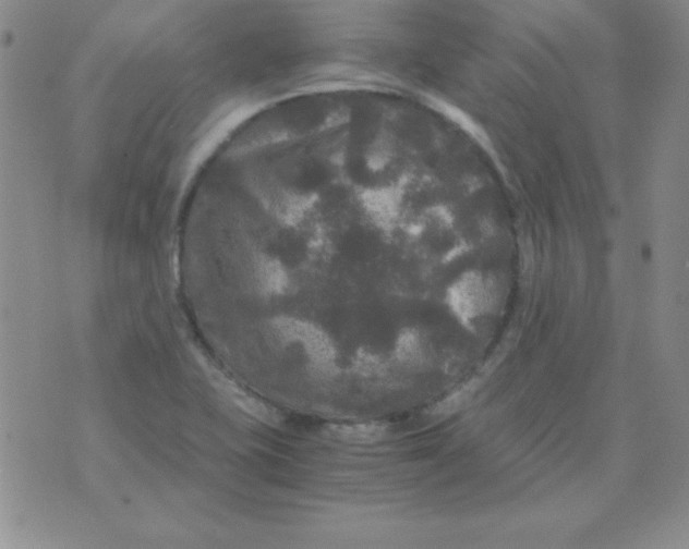 X0000075921415200610062156