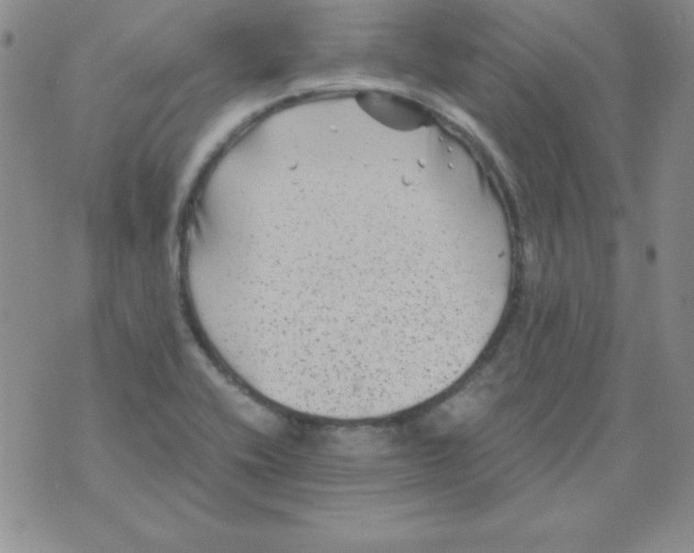 X0000075921416200610062156