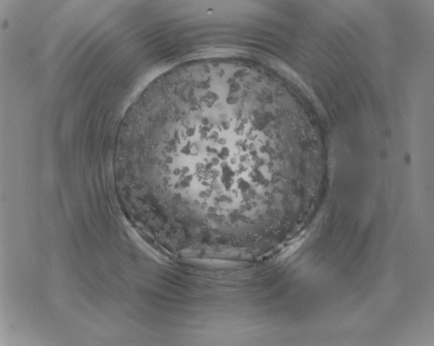 X0000075921417200610062156