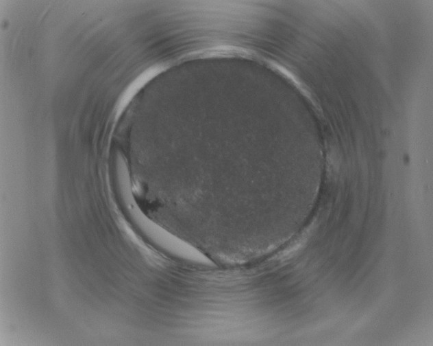 X0000075921418200610062156