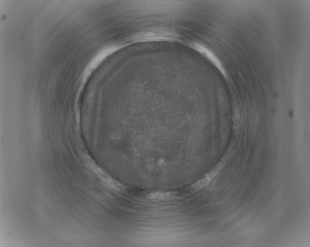 X0000075921419200610062156