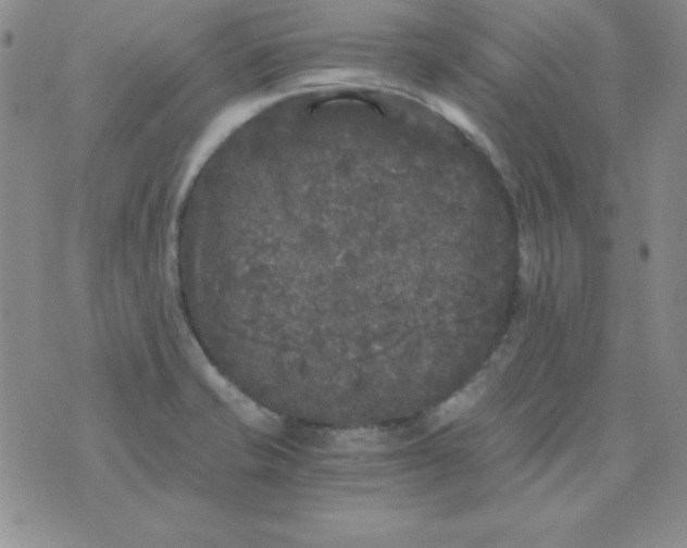 X0000075921421200610062156