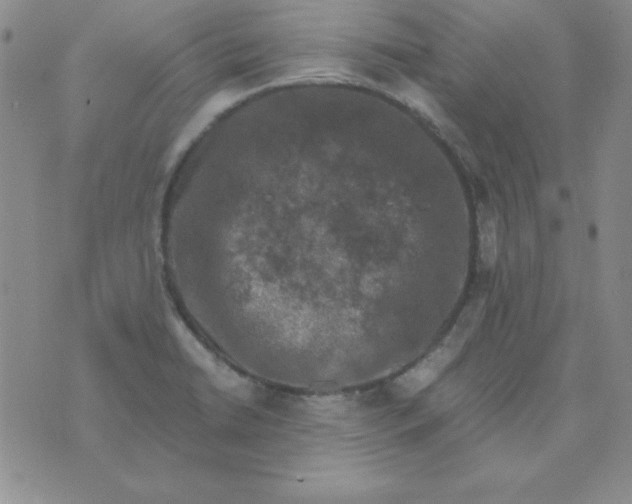 X0000075921422200610062156