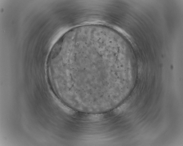 X0000075921423200610062156