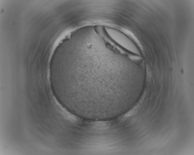 X0000075921424200610062156