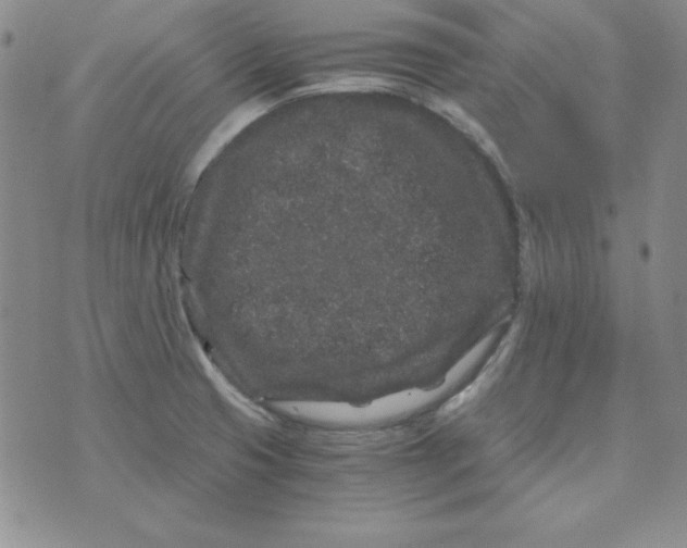 X0000075921425200610062156