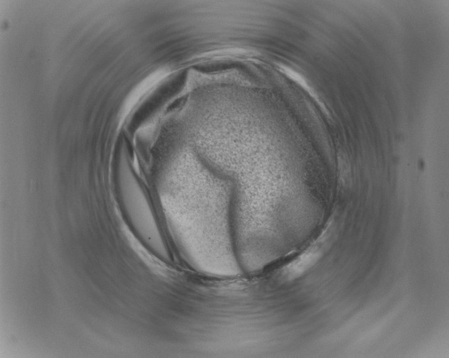 X0000075921426200610062156