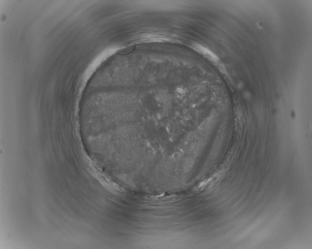 X0000075921427200610062156