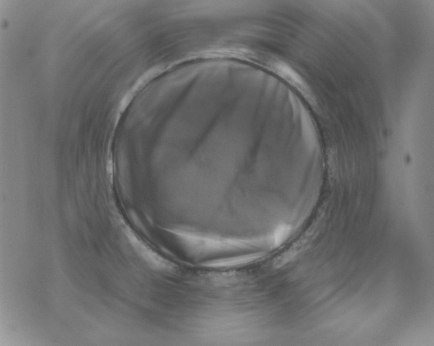 X0000075921428200610062156