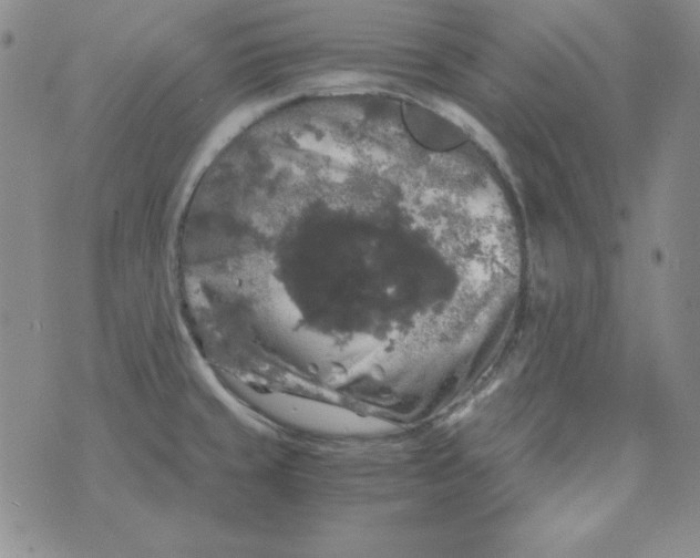 X0000075921429200610062156