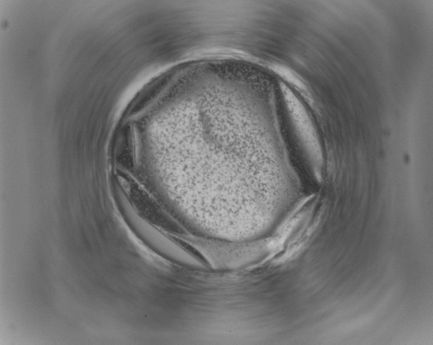 X0000075921430200610062156