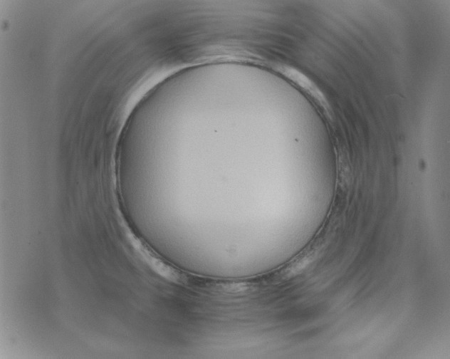 X0000075921431200610062156