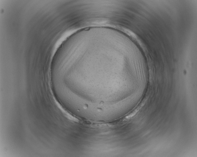 X0000075921432200610062156