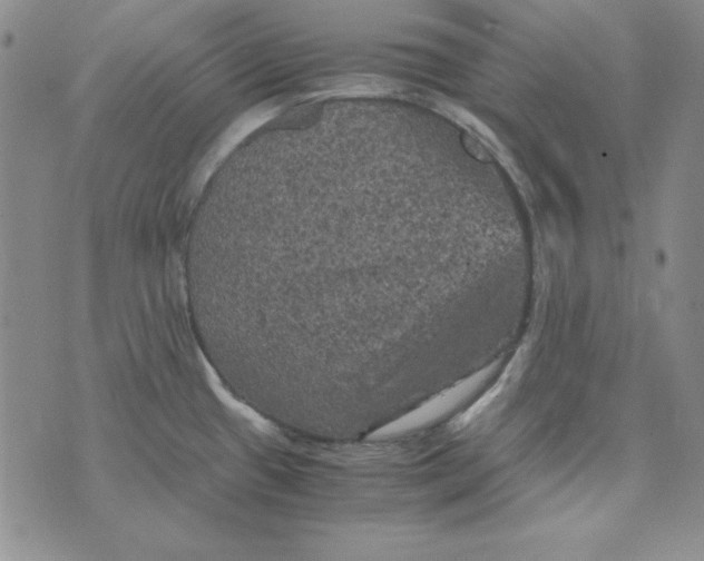 X0000075921433200610062156