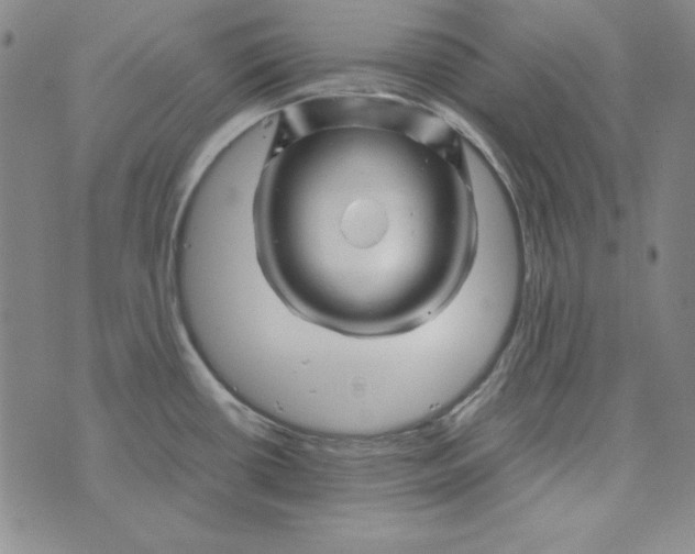 X0000075921434200610062156