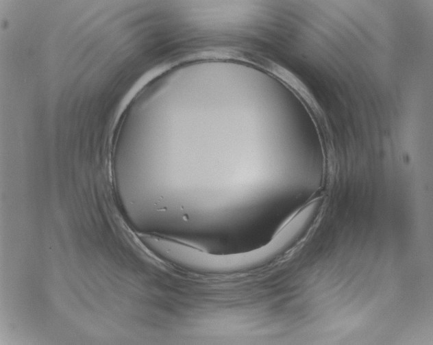 X0000075921436200610062156