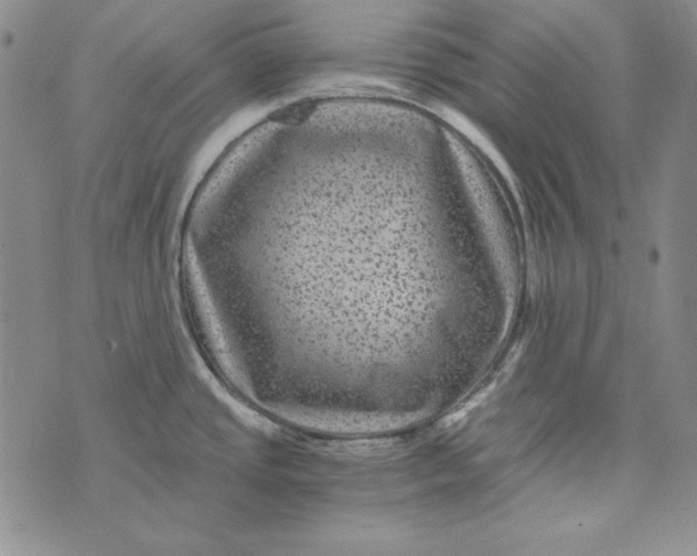 X0000075921437200610062156