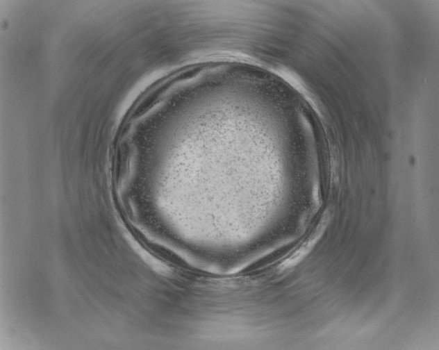 X0000075921438200610062156