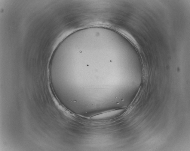 X0000075921439200610062156