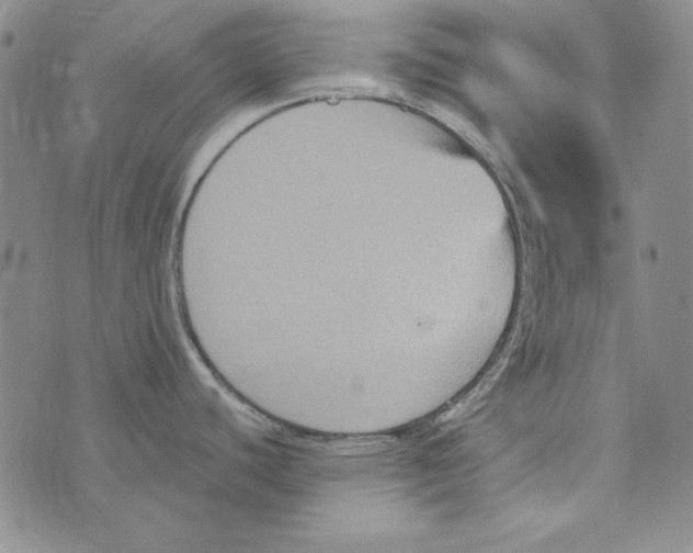 X0000075921440200610062156