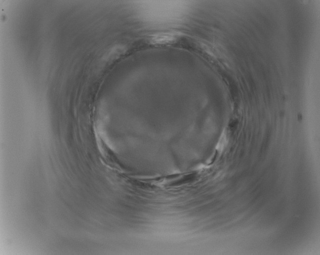 X0000075921441200610062156