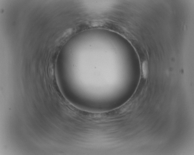 X0000075921443200610062156