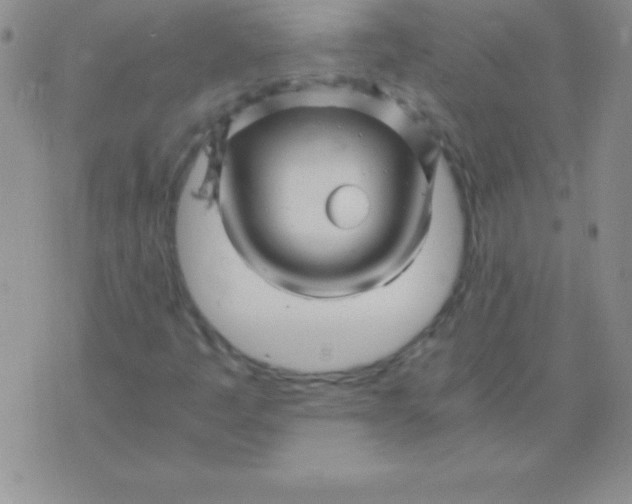 X0000075921445200610062156