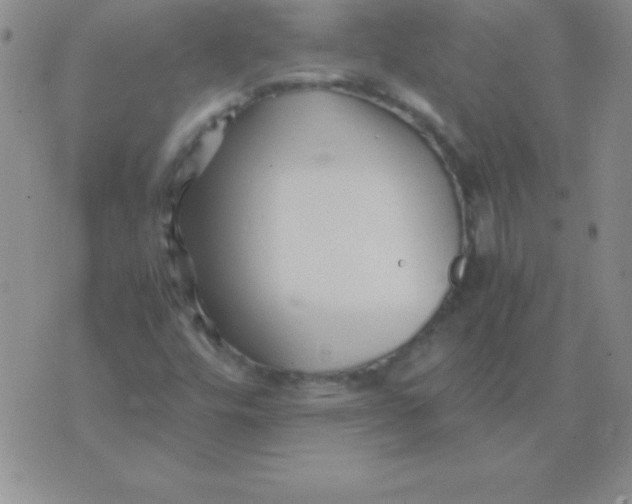 X0000075921448200610062156