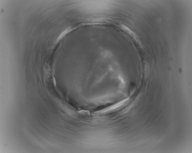 X0000075921449200610062156