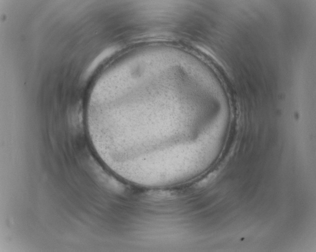 X0000075921450200610062156