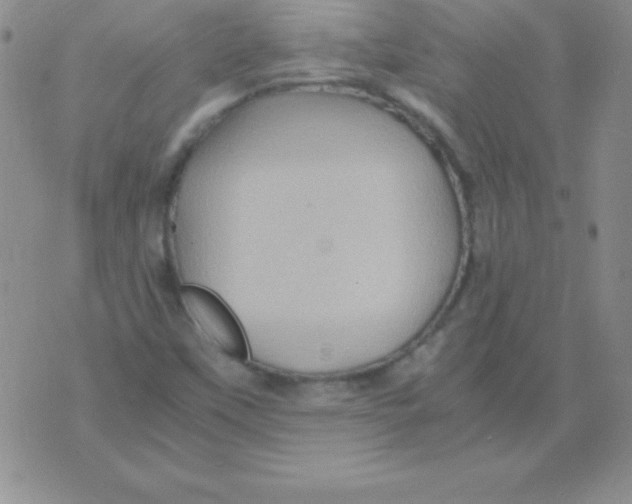 X0000075921451200610062156