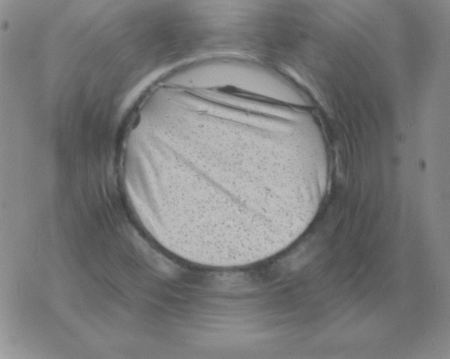 X0000075921452200610062156