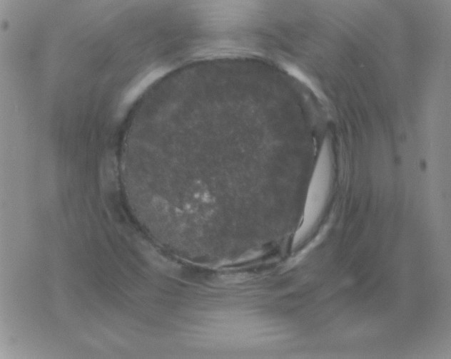 X0000075921453200610062156