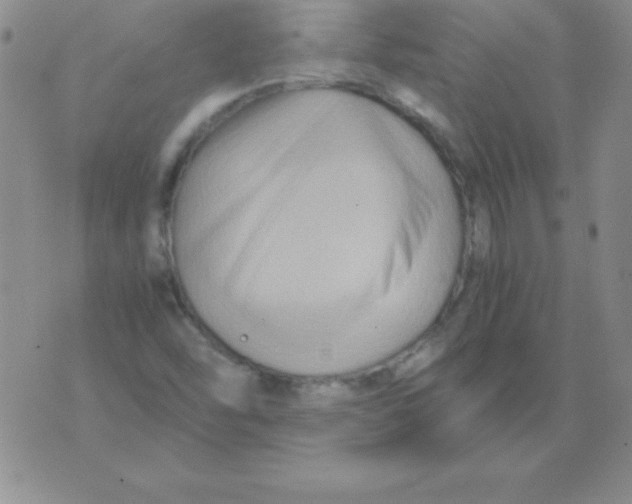 X0000075921454200610062155