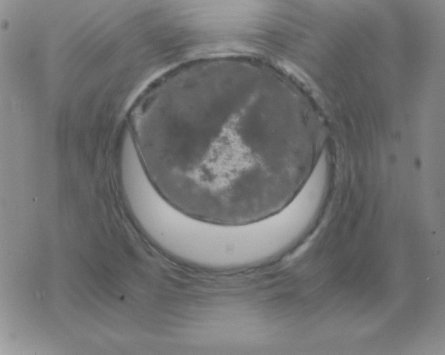 X0000075921457200610062155