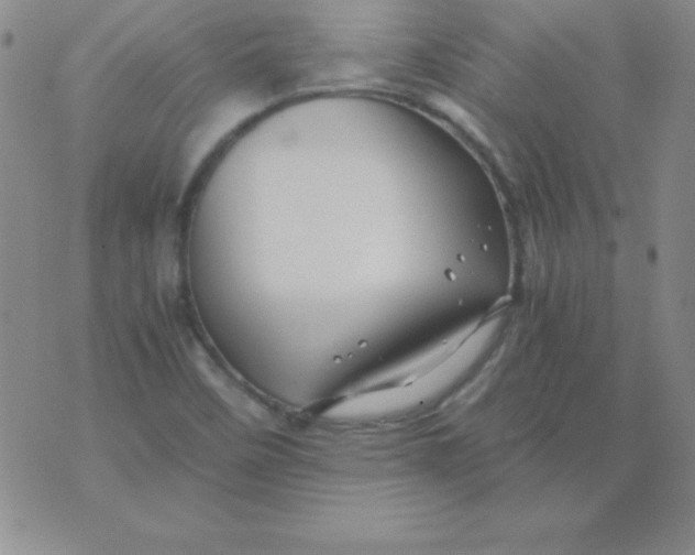 X0000075921458200610062155