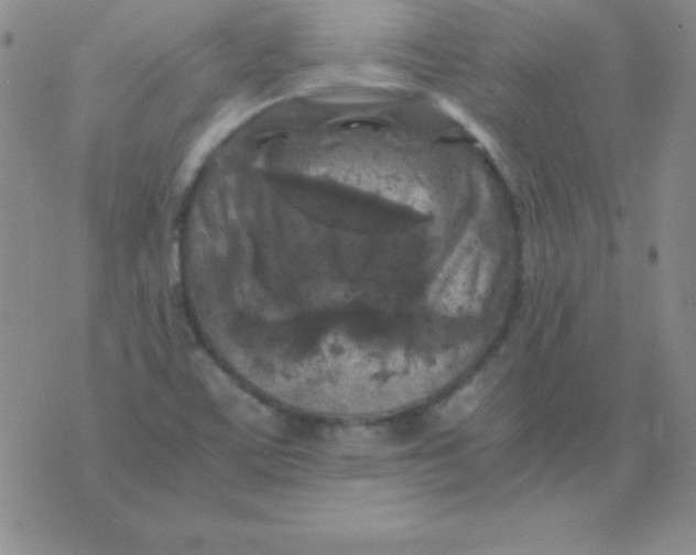 X0000075921459200610062155