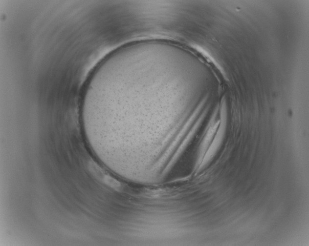 X0000075921460200610062155