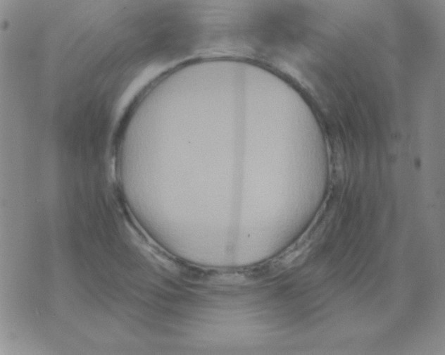 X0000075921462200610062155