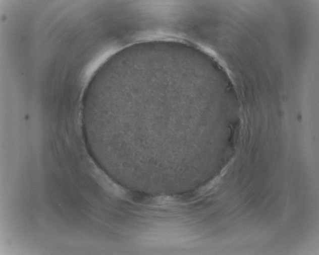 X0000075921463200610062155