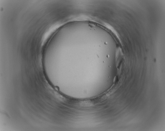 X0000075921464200610062155