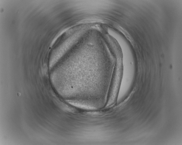 X0000075921465200610062155