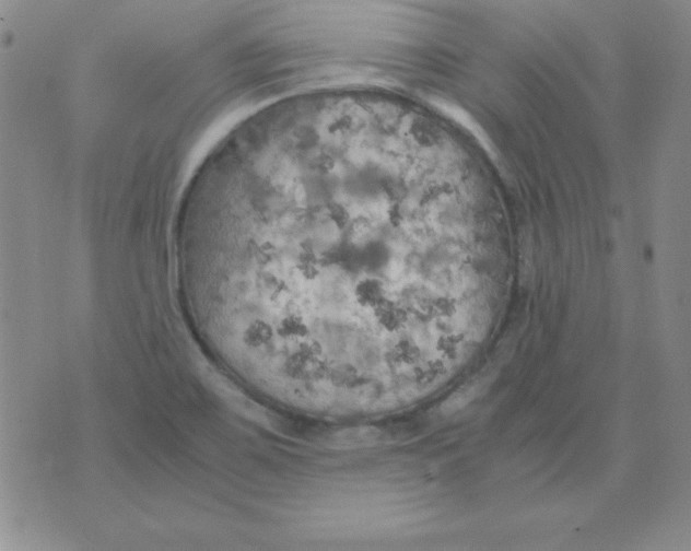 X0000075921467200610062155